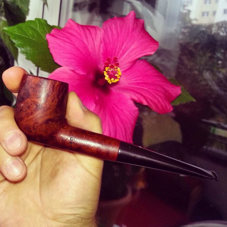 10620803_10153205478703902_639821079695261257_n