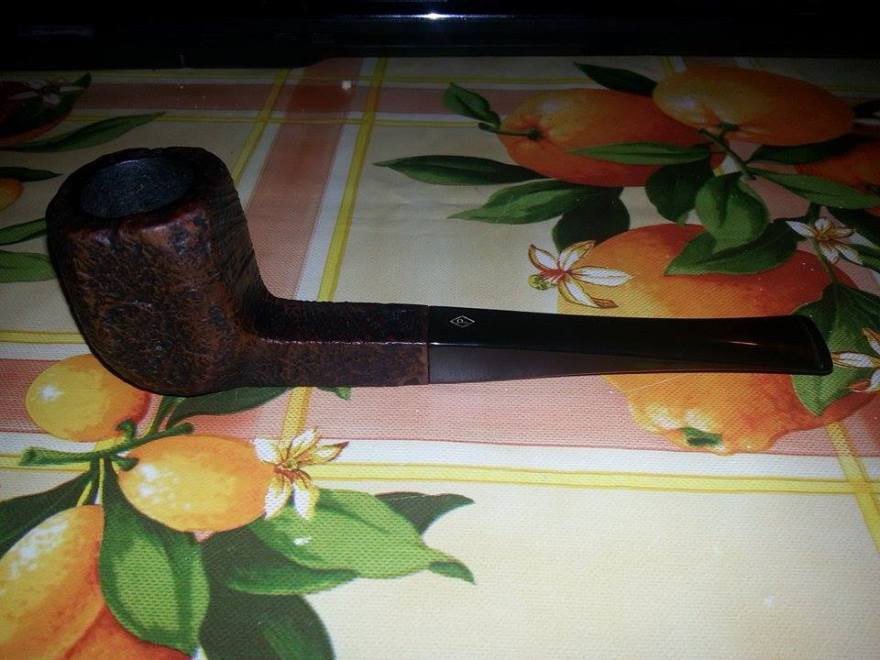 10959135_10153631862563902_662982142_n