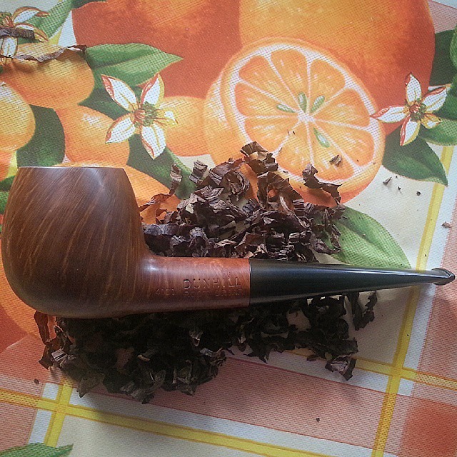 11181723_10154293421233902_3632912785202928744_n