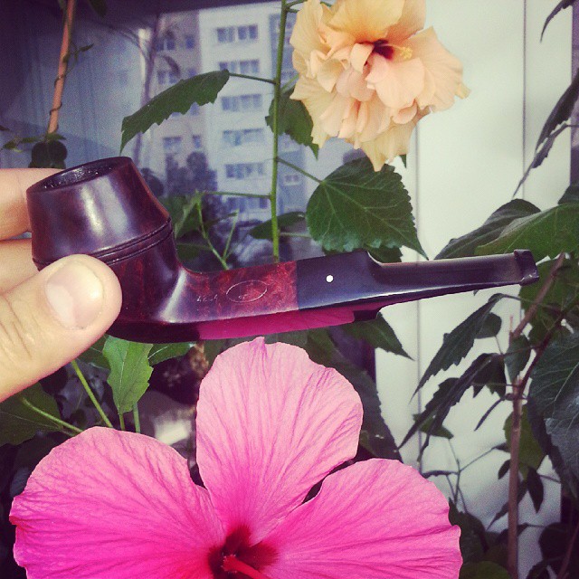 11999074_10154293249228902_6115885198552250767_n