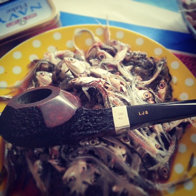 1452407_10152465489543902_1760163026_n