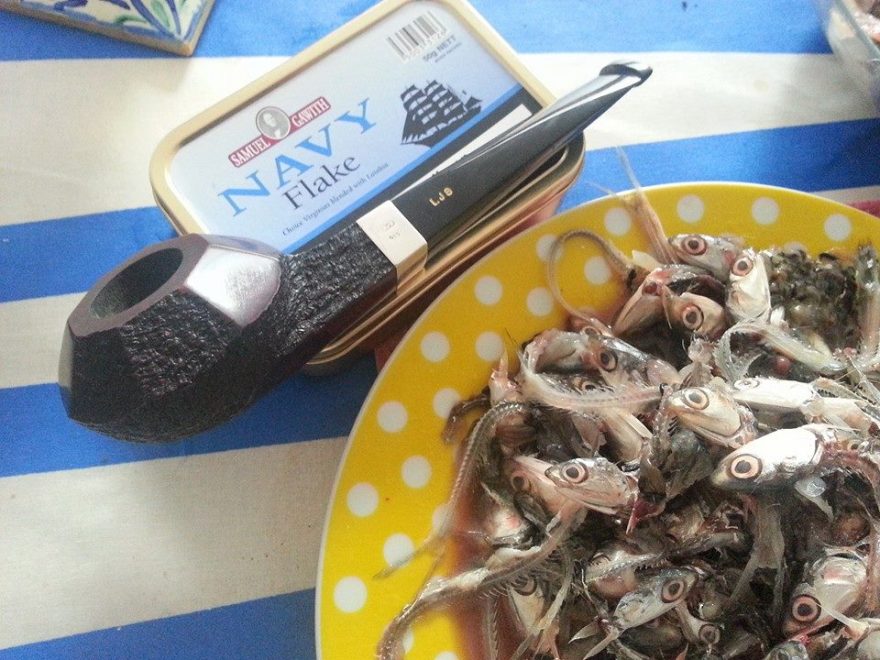 486666_10152465467503902_1153193125_n