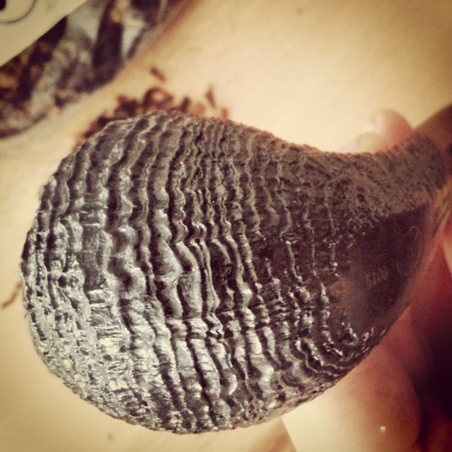 tmp_19487-IMG_20150923_103338-701194557